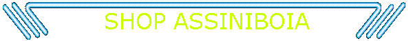 SHOP ASSINIBOIA