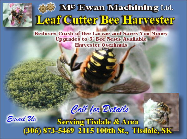 mcewen-leaf-cutter-bees.jpg (182066 bytes)