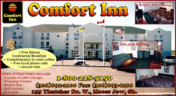 Comfort Inn.jpg (89568 bytes)